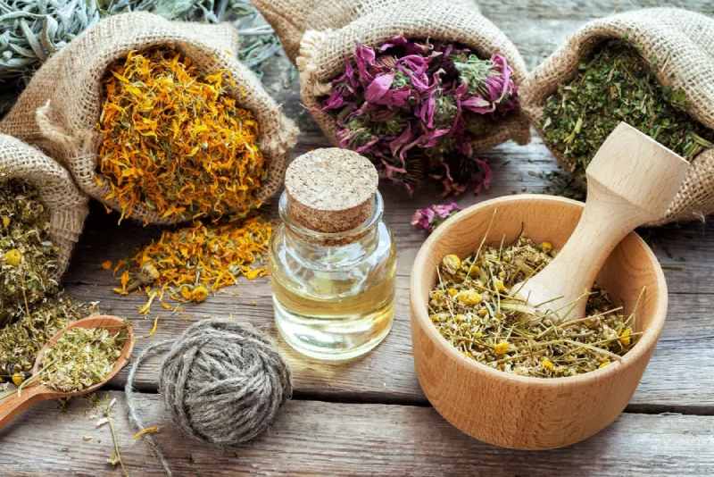 Plantas medicinales para mejorar la digestión de forma natural