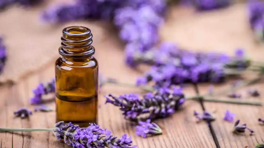 Cómo usar el aceite esencial de lavanda para dormir mejor y reducir el estrés