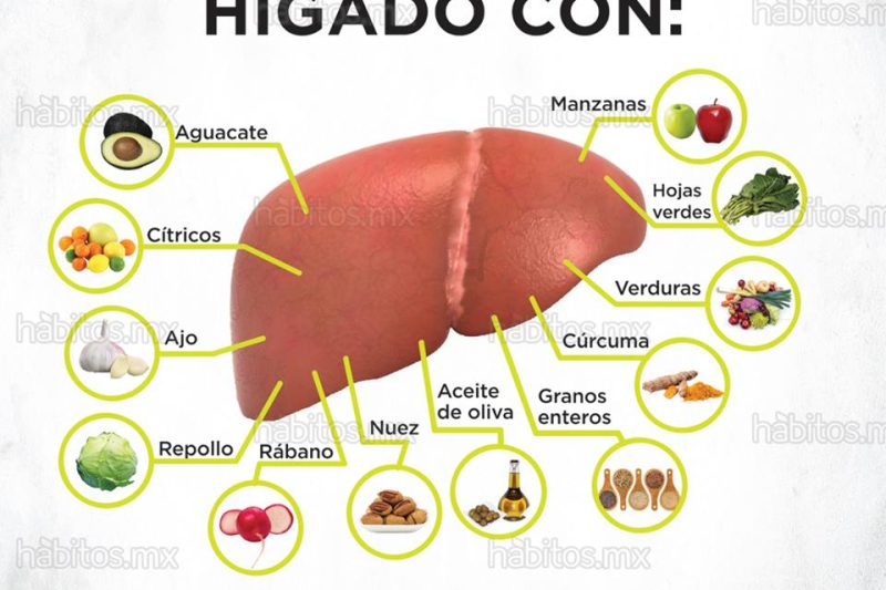 Cómo fortalecer el hígado de forma natural: hábitos y alimentación consciente