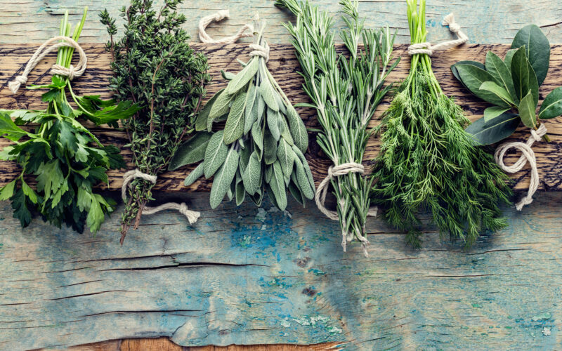 Plantas medicinales para equilibrar las hormonas naturalmente