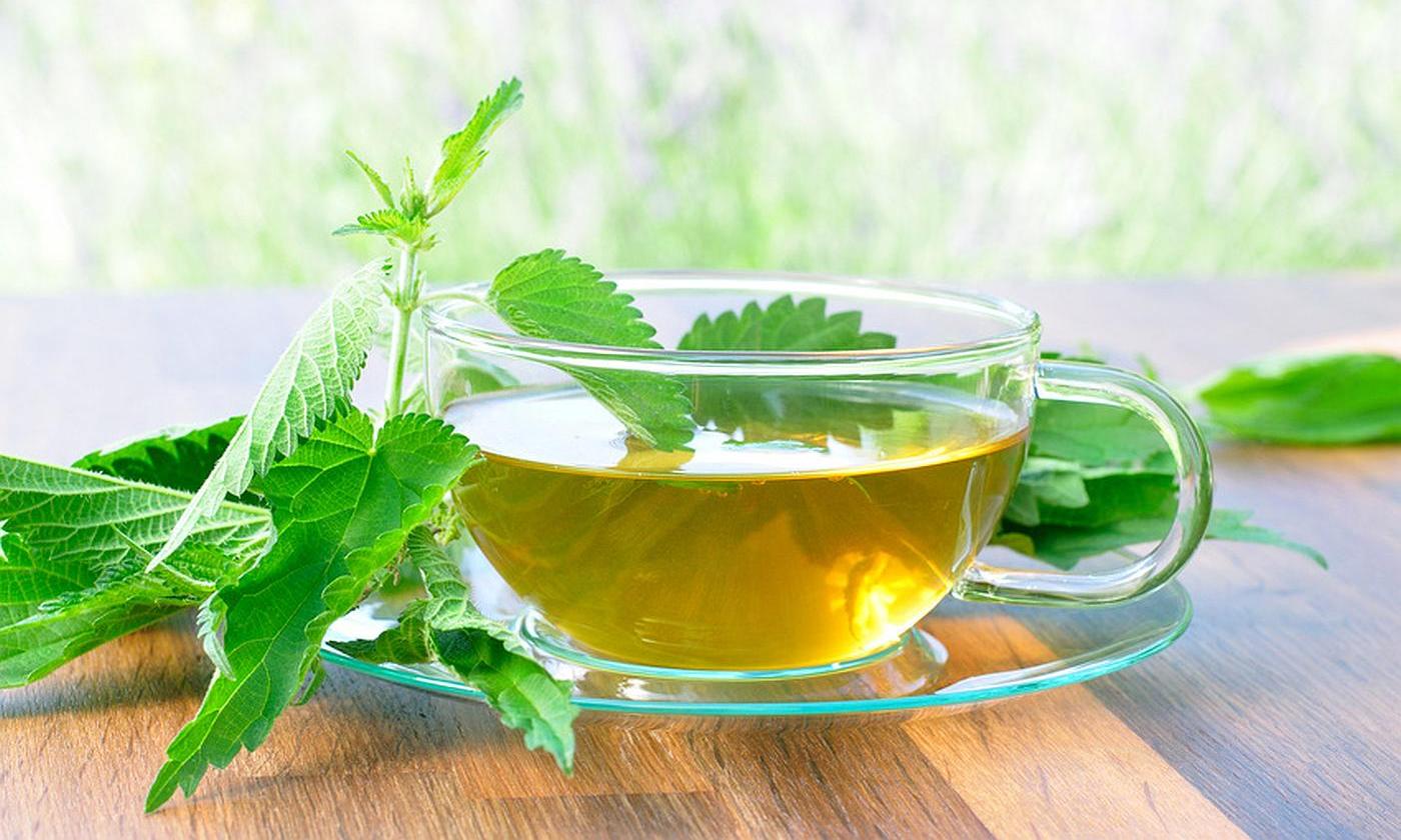 Té de ortiga: beneficios y cómo prepararlo de forma natural en casa