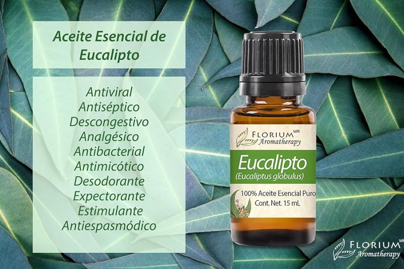 Aceite esencial de eucalipto: usos terapéuticos, beneficios y precauciones